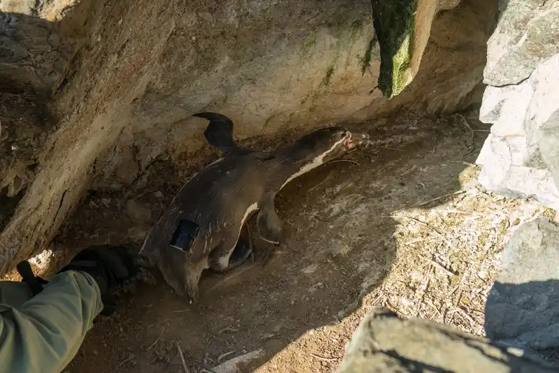 Registro fotográfico de la campaña 1