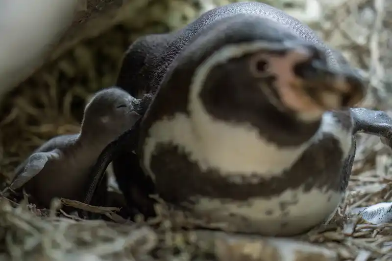 Registro fotográfico de la campaña 3